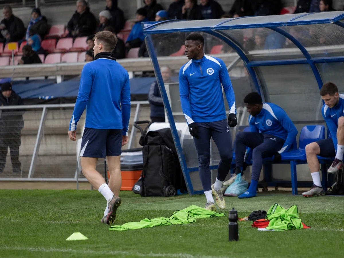 Brighton henter Jaouen Hadjam fra Young Boys